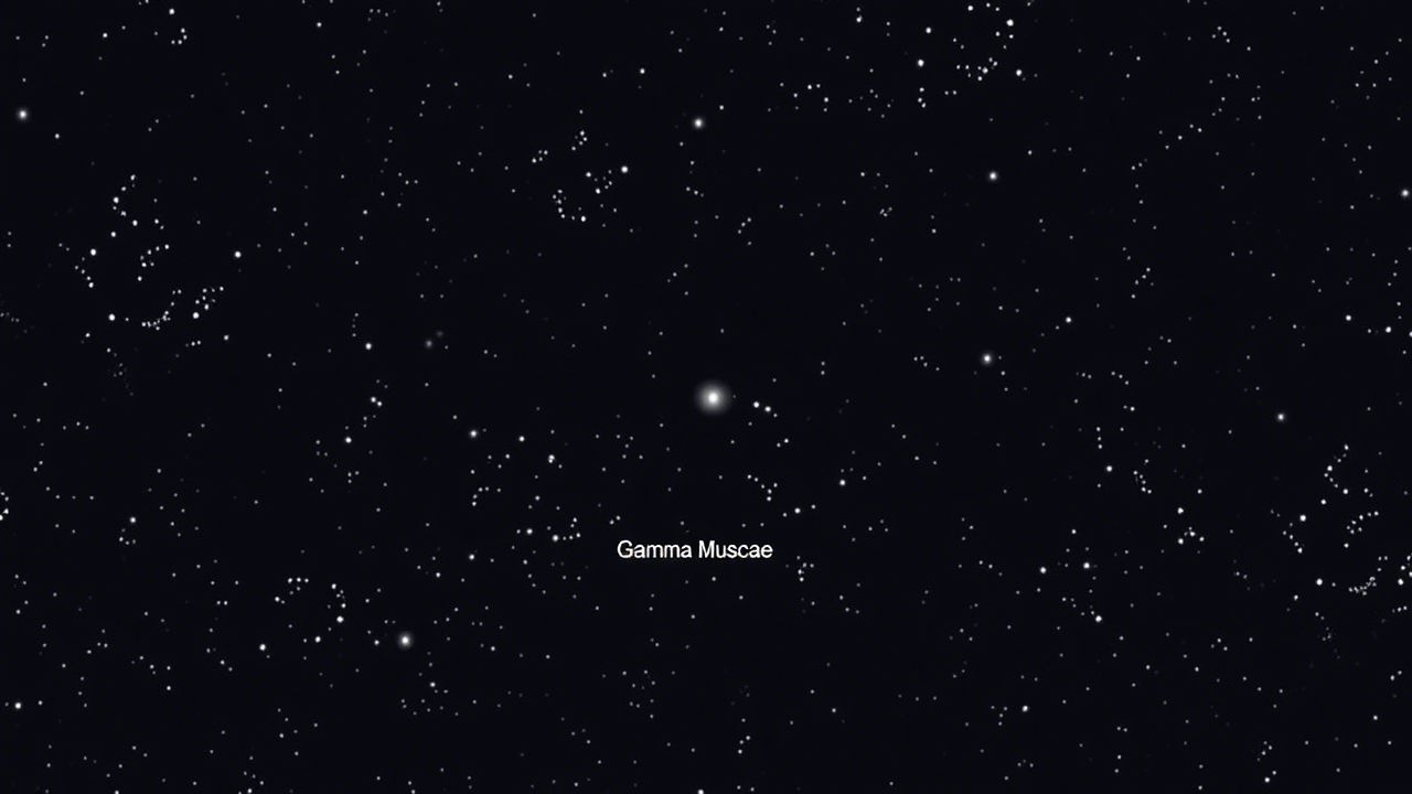 Gamma Muscae