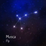 Constelación Musca