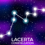Constelación Lacerta